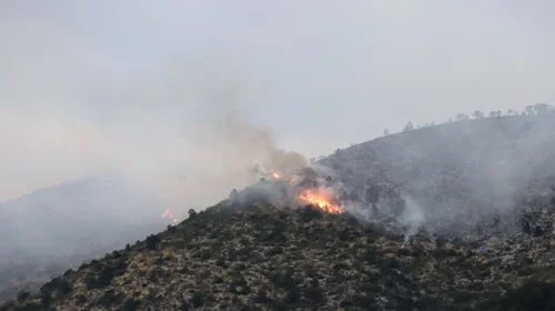 Atiende Arteaga incendio forestal en la zona norte del municipio