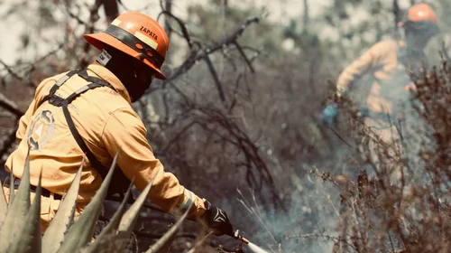Combaten dos incendios forestales en la sierra de Galeana