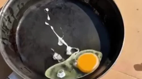 Cocinan en Torreón un huevo... en la superficie de un auto a 45°