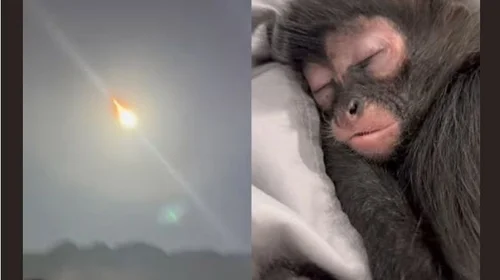 El 'meteorito' deja a su paso asombro en los regios y... ¡memes!
