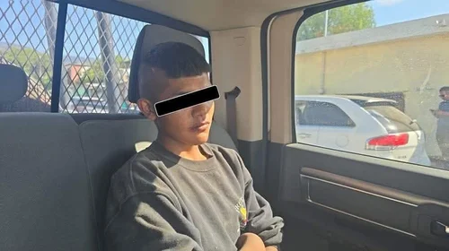 Sentencian a hombre que mató a cuatro cachorros con fuego