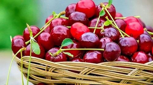 Cerezas, aliadas dulces en el control de la glucosa