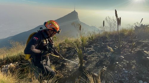 Tras varias horas, apagan incendio en el Cerro de la Silla