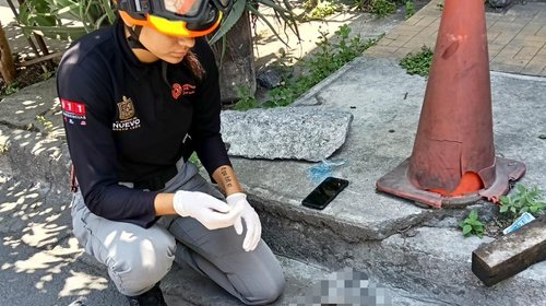 Atropellan a tlacuache y muere con dos de sus crías