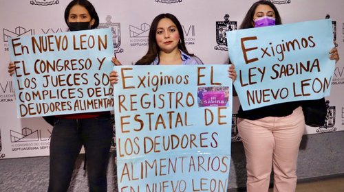 Piden acelerar la creación del Registro de Deudores Alimentarios