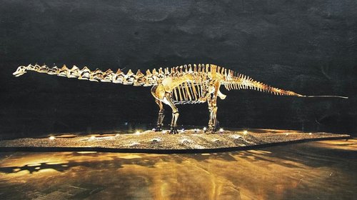 Mauricio Fernández dona fósil de dinosaurio a San Pedro