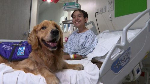 Conmemoran el Día de la Terapia Asistida con Animales