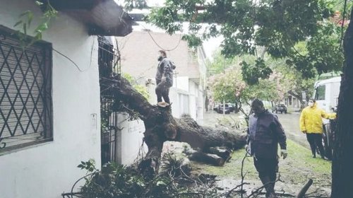 Ofrecen seguro contra daños por lluvias o desastres naturales
