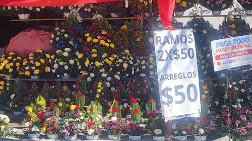 Vendedores de flores en Saltillo se preparan para Día de Muertos