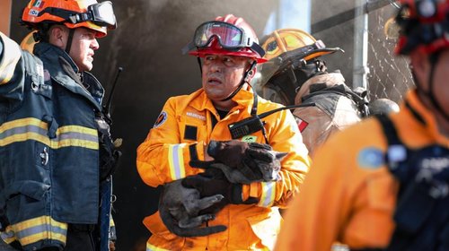Salvan a cinco gatos y un perro de morir en incendio en Monterrey