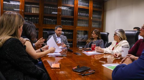 Aprueban hacer más grande a San Nicolás para estadio de Tigres