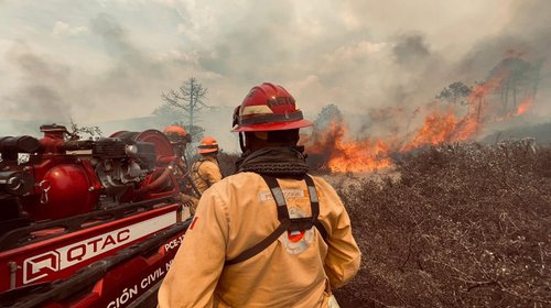 Prevén riesgo de incendios forestales en NL por invierno seco