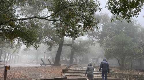 Familias regiomontanas disfrutan la llegada del frío en Chipinque