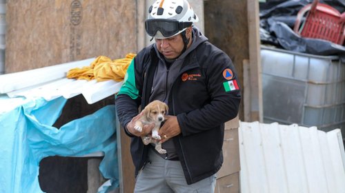 Adoptan elementos de PCNL a perritos rescatados en Apodaca