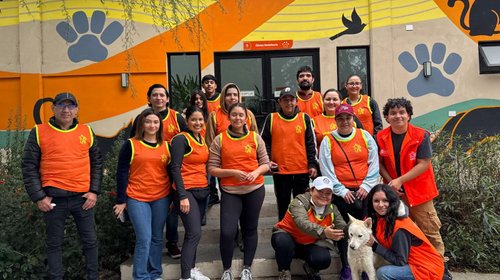 'Pasea a un perrito': Transforman día a animales rescatados
