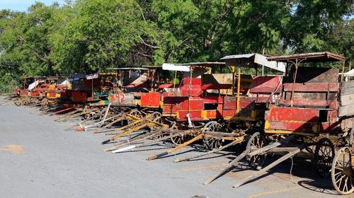 Dará NL incentivos a carretoneros para dejar caballos