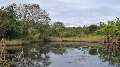 Persisten daños ambientales por derrame de petróleo en Altamira