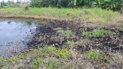 Altamira acumula pasivos ambientales por fugas de hidrocarburo