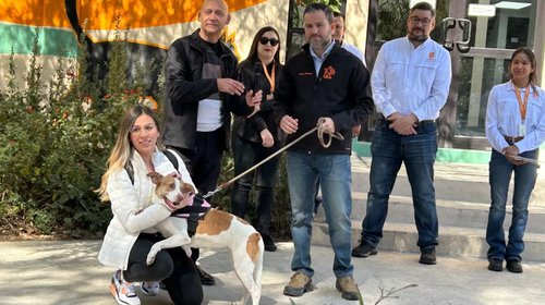 Entregan a perrita maratonista, ahora 'Mara', a su nueva familia