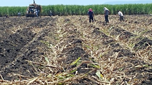 Productores tamaulipecos temen impacto del pago de agua a EUA