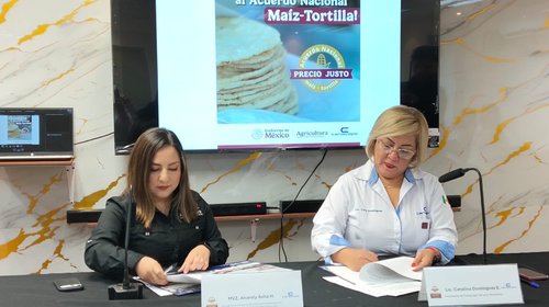 Buscan potencializar el crecimiento de las tortillerías en NL