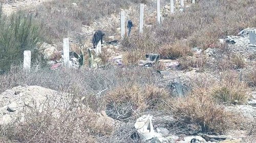 Aumentan los tiraderos clandestinos en Coahuila