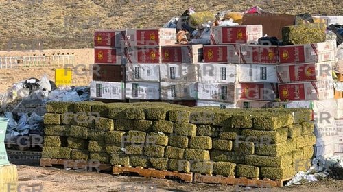 FGR destruye más de una tonelada de droga en Coahuila