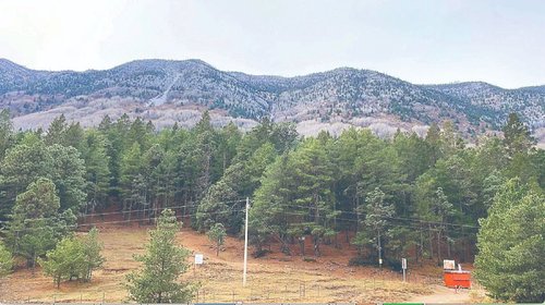Detienen a cinco por dañar Sierra de Arteaga 
