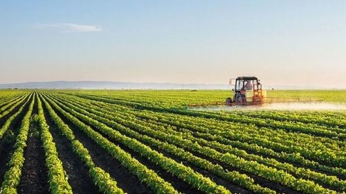 Buscan nuevas oportunidades para Pymes del sector agroalimentario
