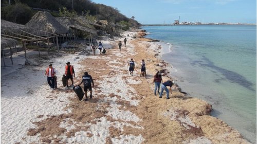 Ordenan frenar daño por derrame petrolero en costas del Golfo