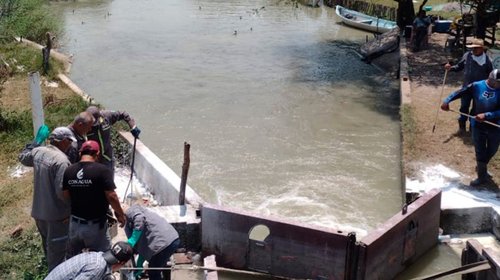 Abren compuertas en 'El Camalote' para frenar mortandad de peces