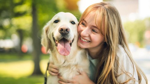 Humanos y mascotas, en sintonía cerebral