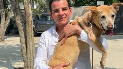 Miguel Flores promueve adopción con el rescate de 'Caramela'