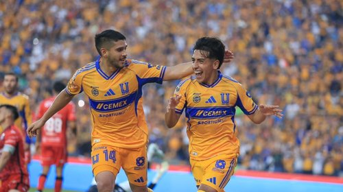 Tigres solo ha ganado una serie de Liguilla ante Chivas