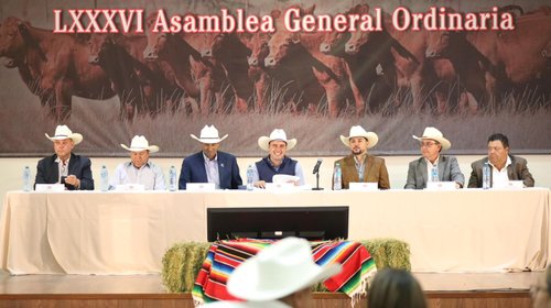 Arranca programa de alimento para ganado con inversión de $20 mdp