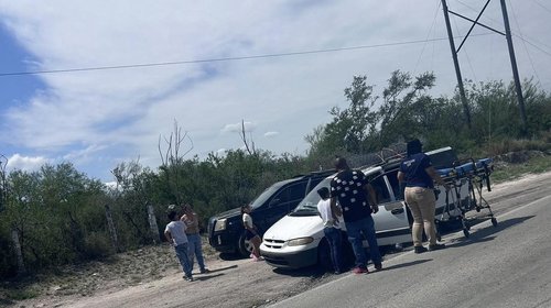  Hombre muere tras ataque de abejas en el municipio de Marín