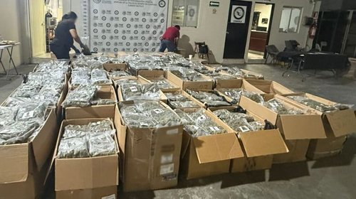 Aseguran más de 700 kilos de marihuana en carretera a Zacatecas