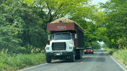 Estiman producción de caña de 1.9 millones de toneladas