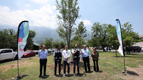 Reforesta San Pedro con 'gigantes verdes' la Calzada del Rosario
