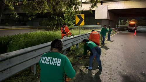 Refuerzan limpieza y rehabilitación en zona metropolitana