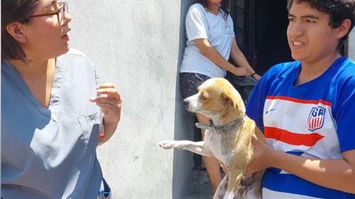 Acercan servicios veterinarios gratuitos en Santa Catarina