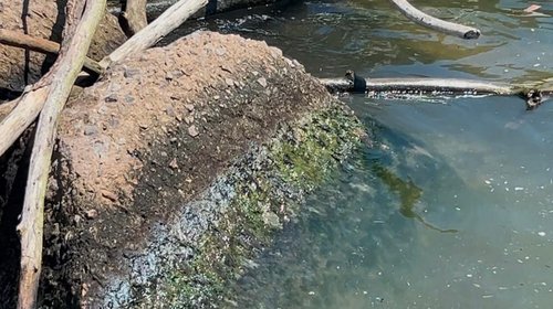 Se registra derrame de hidrocarburo en el Río Pánuco