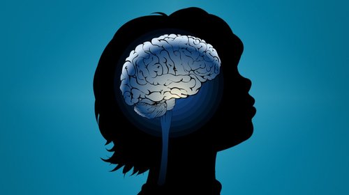 Identifican ‘interruptor’ cerebral ligado al autismo 