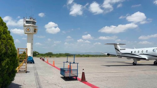 Coahuila mantiene estrategia aérea contra gusano barrenador