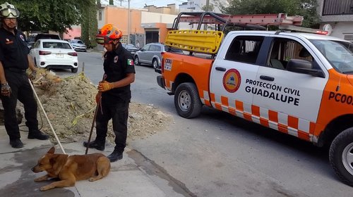 Rescatan a 'Rosco', perrito atrapado en hoyo en Guadalupe
