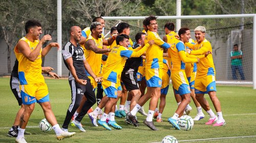 Ya parale, Tigres: registra siete técnicos en cinco años