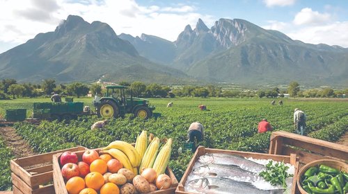 Crece Nuevo León 1.4% y supera tres veces el promedio nacional