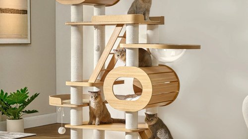 Catitecture: el diseño que convierte tu casa en un paraíso gatuno