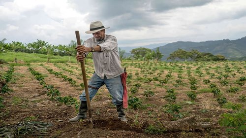 Alertan a agricultores por fraude de 35 mil pesos en México