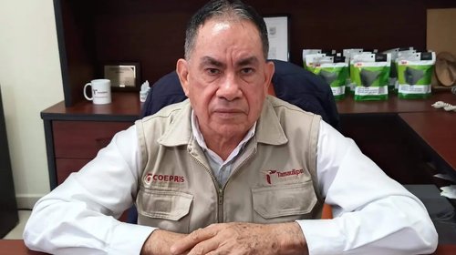 Vigilan marisquerías y pollerías por infecciones estomacales